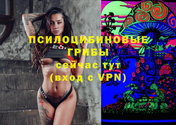 мдпв Новокубанск
